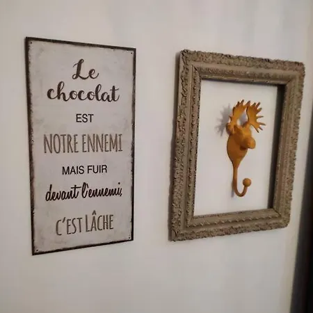 Maison Spacieuse Et Lumineuse+
